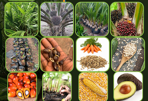 Agro Products